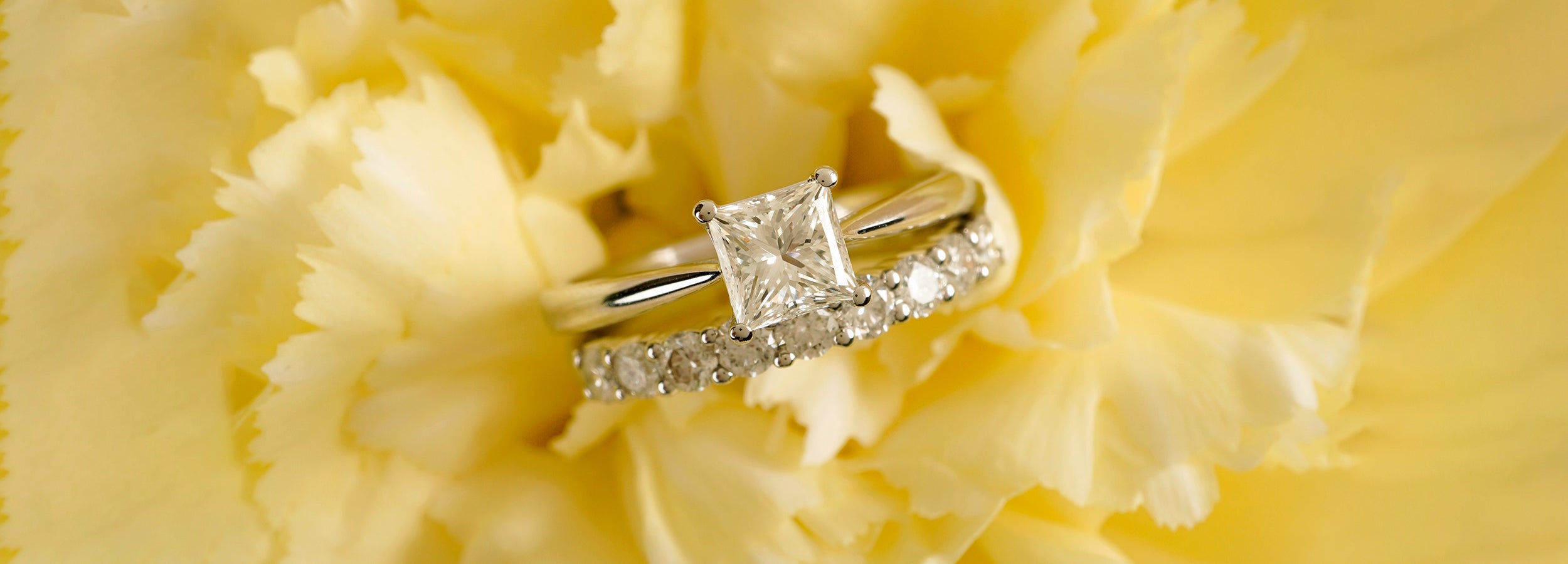 Everlasting Devotion: Engagement Rings from the Miladay Vow Collection