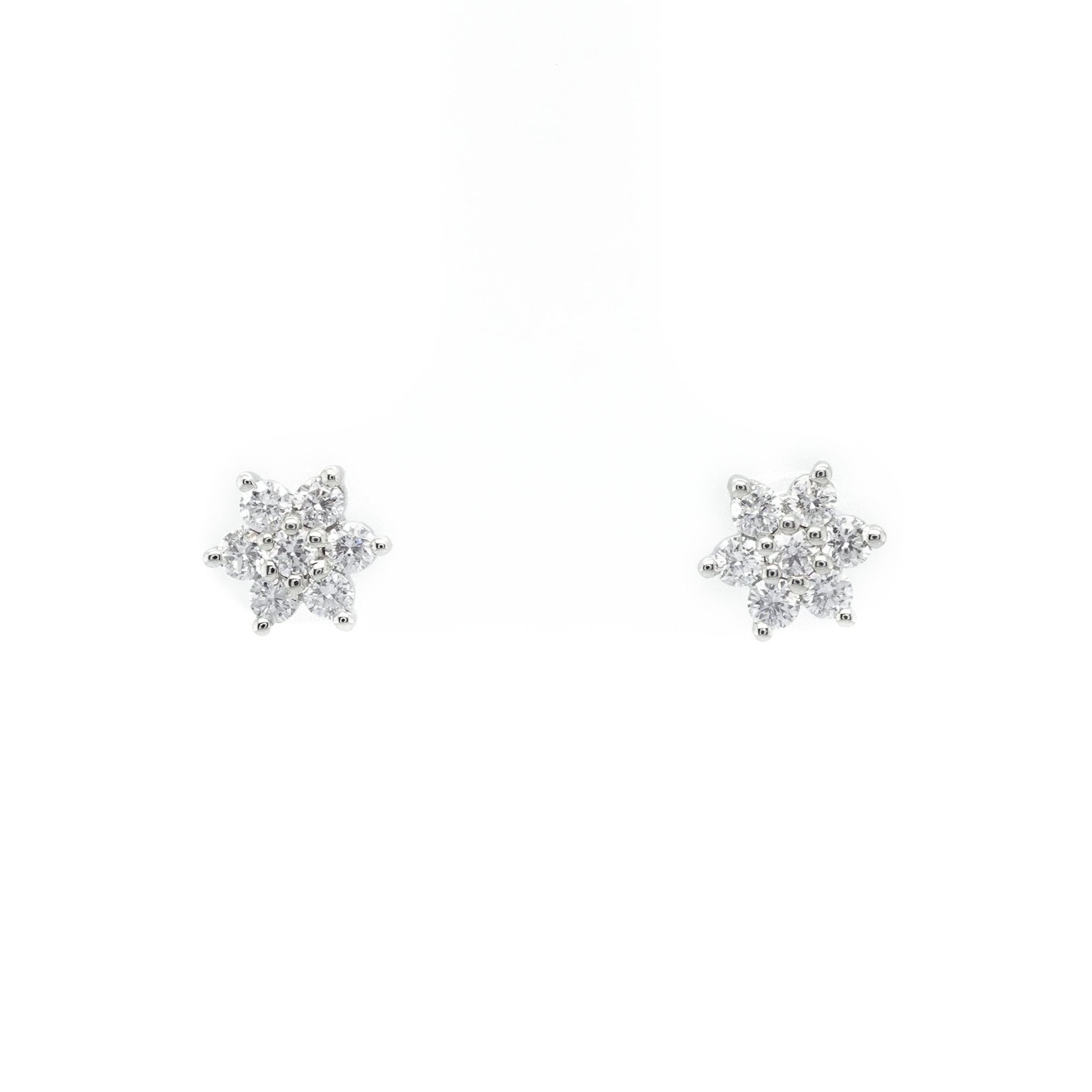 Classics Earrings 7924