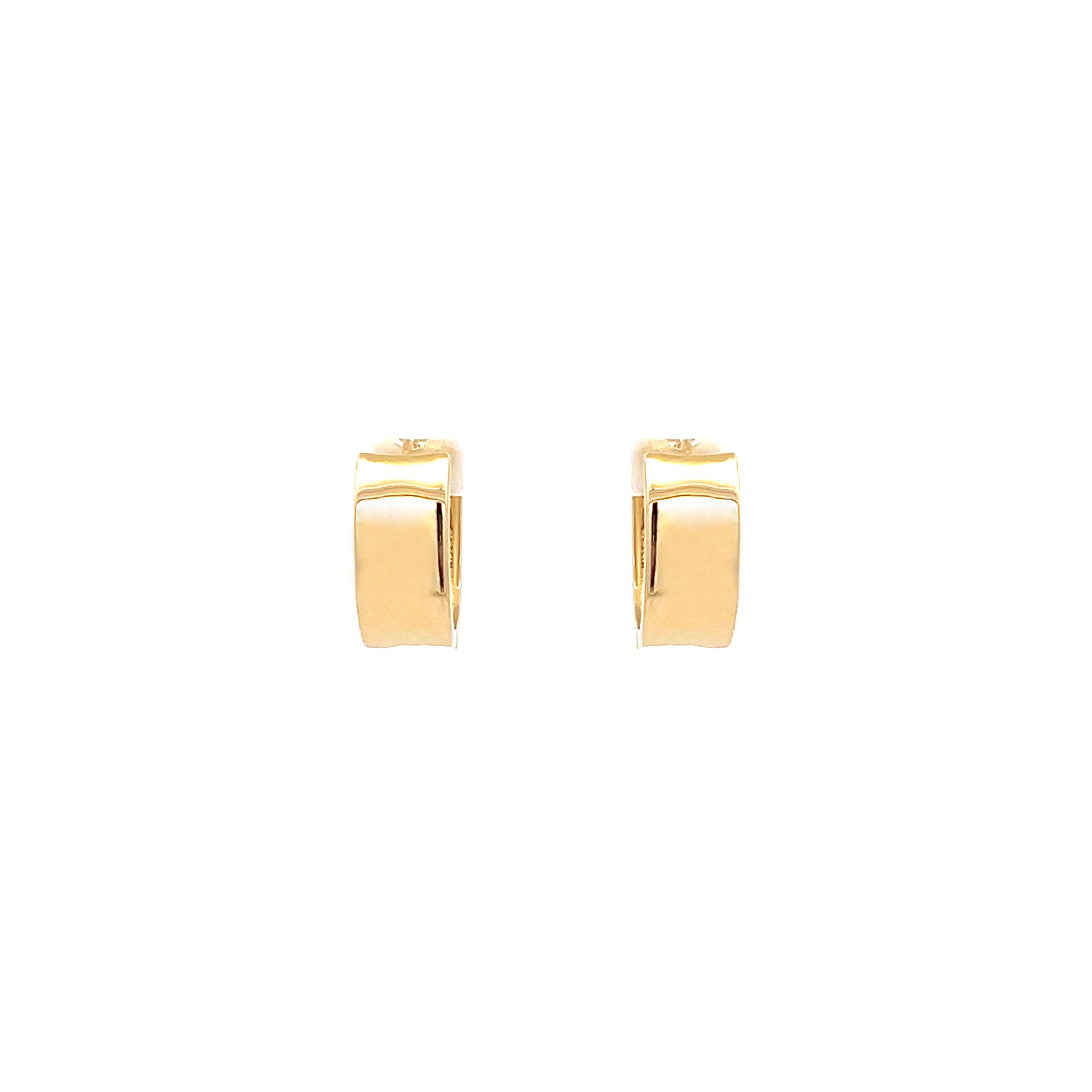 Stella Earrings 3717